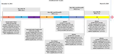 Case Report: Significant Response to Immune Checkpoint Inhibitor Camrelizumab in a Heavily Pretreated Advanced ER+/HER2− Breast Cancer Patient With High Tumor Mutational Burden